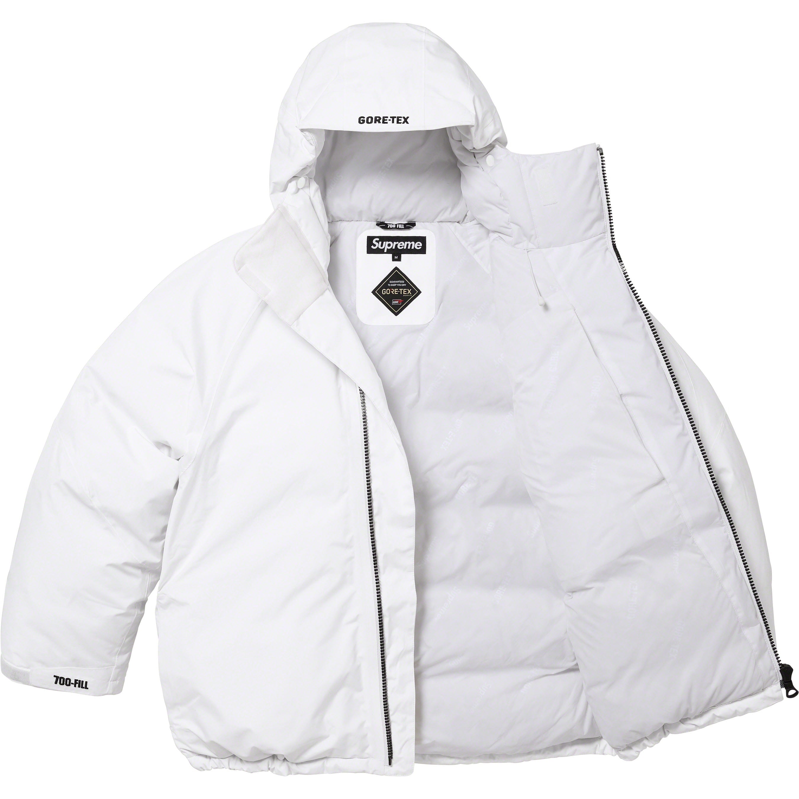 GORE-TEX 700-Fill Down Parka view 14